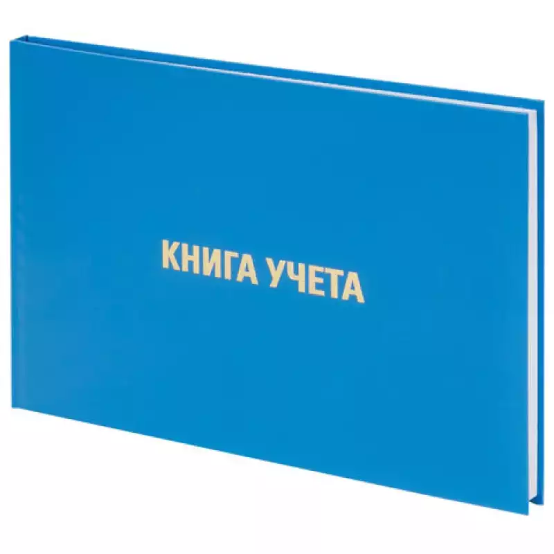 Книга учета 96 л., клетка, твердая, бумвинил, блок офсет, альбомный, А4 (210х295 мм), BRAUBERG, 130074