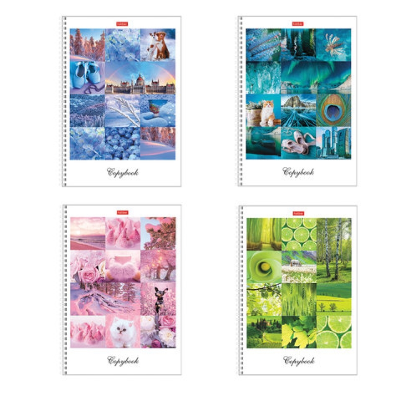 Тетрадь А4, 80 л., HATBER, гребень, клетка, цветной срез, 